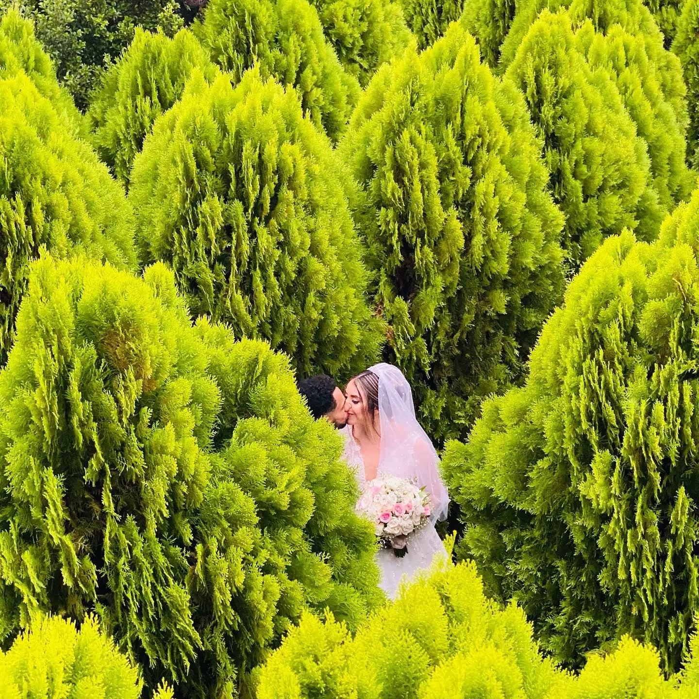 Novios en el bosque www.reunioneshonduras.com